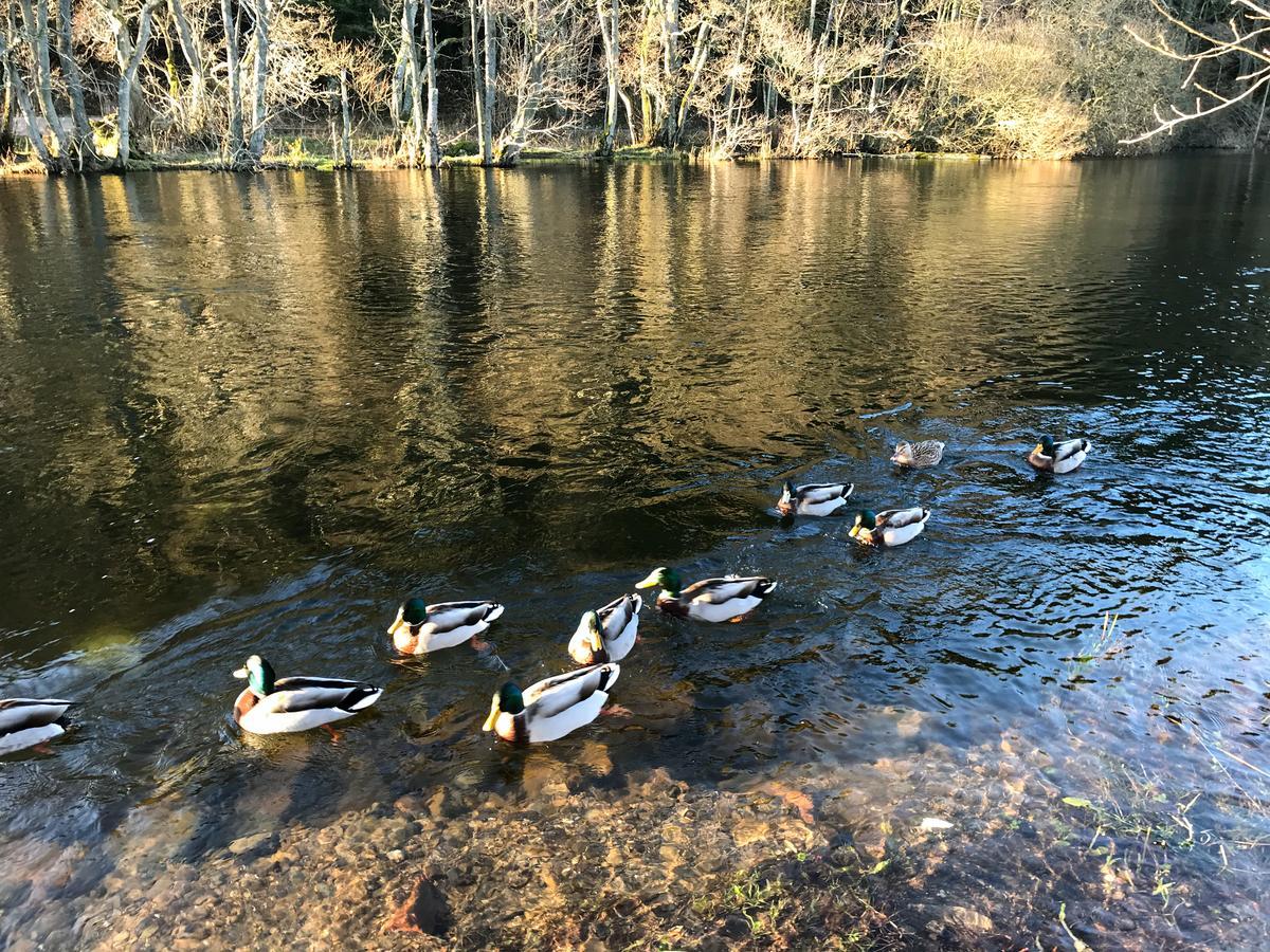 Waterfoot Park Hotel Pooley Bridge Luaran gambar